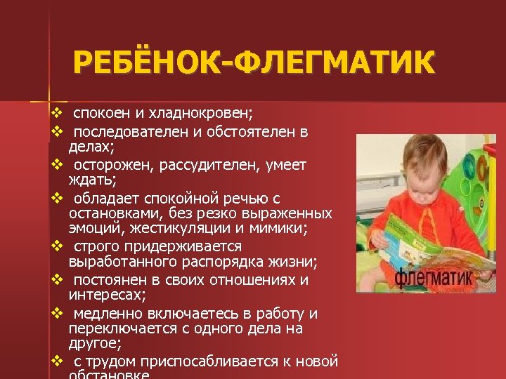 РЕБЁНОК-ФЛЕГМАТИК v спокоен и хладнокровен; v последователен и обстоятелен в делах; v осторожен, рассудителен,