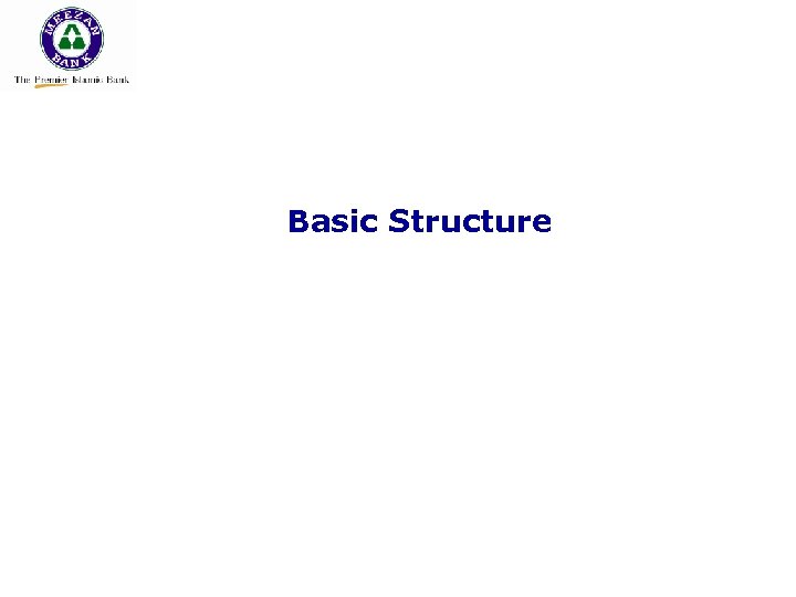 Basic Structure 