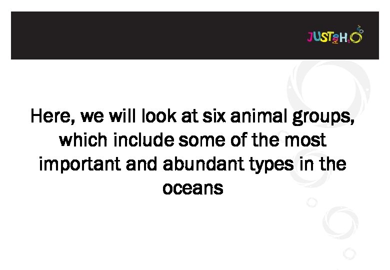 Here, we will look at six animal groups, which include some of the most