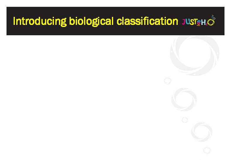 Introducing biological classification 