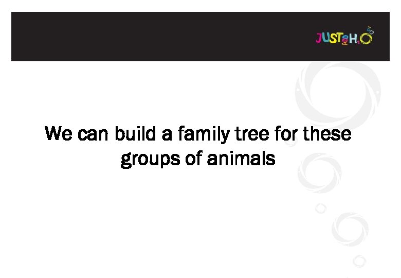 We can build a family tree for these groups of animals 