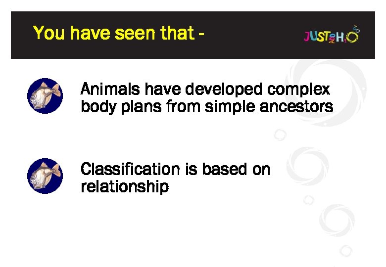 You have seen that Animals have developed complex body plans from simple ancestors Classification