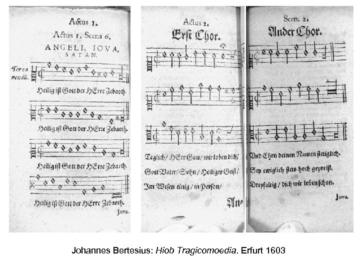 Johannes Bertesius: Hiob Tragicomoedia. Erfurt 1603 