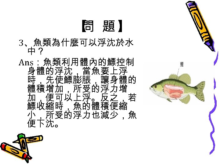 【 題】 問 3、魚類為什麼可以浮沈於水 中？ Ans：魚類利用體內的鰾控制 身體的浮沈，當魚要上浮 時，先使鰾膨脹，讓身體的 體積增加，所受的浮力增 加，便可以上浮。反之，若 鰾收縮時，魚的體積便縮 小，所受的浮力也減少，魚 便下沈。 