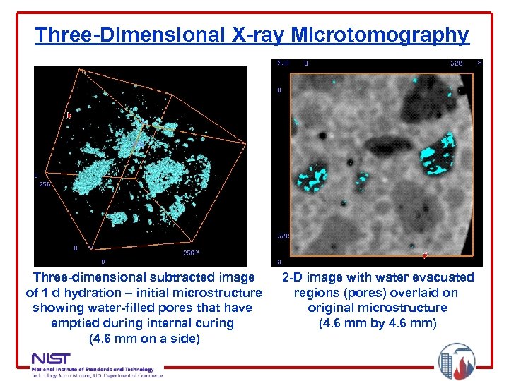 Three-Dimensional X-ray Microtomography Three-dimensional subtracted image of 1 d hydration – initial microstructure showing