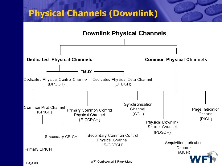 Physical Channels (Downlink) Downlink Physical Channels Dedicated Physical Channels Common Physical Channels TMUX Dedicated