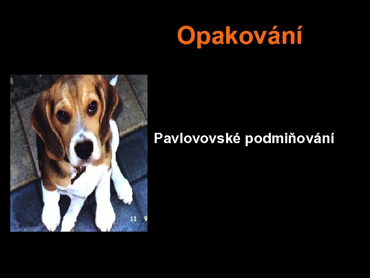  Opakování Pavlovovské podmiňování 