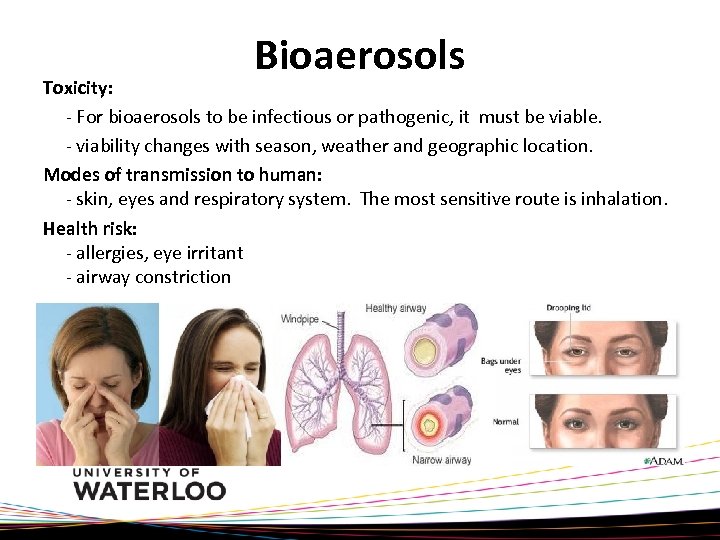 Bioaerosols Toxicity: - For bioaerosols to be infectious or pathogenic, it must be viable.