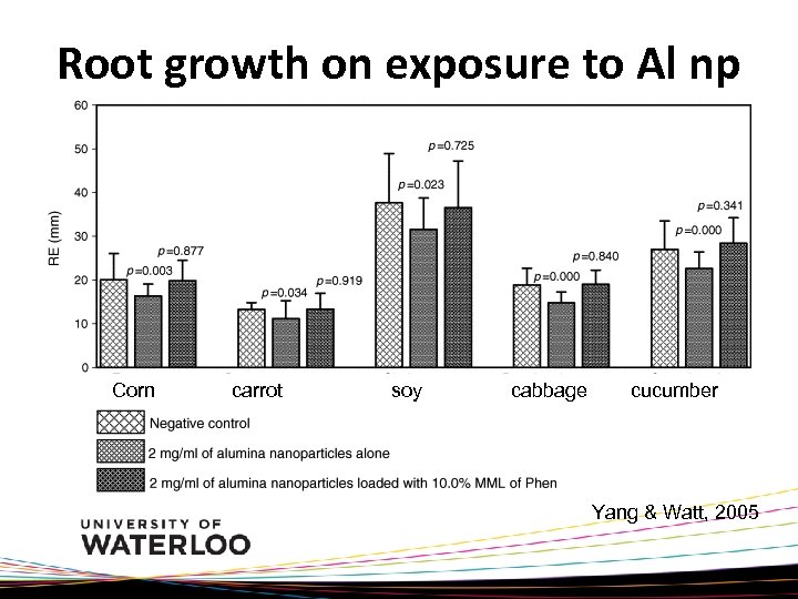 Root growth on exposure to Al np Corn carrot soy cabbage cucumber Yang &