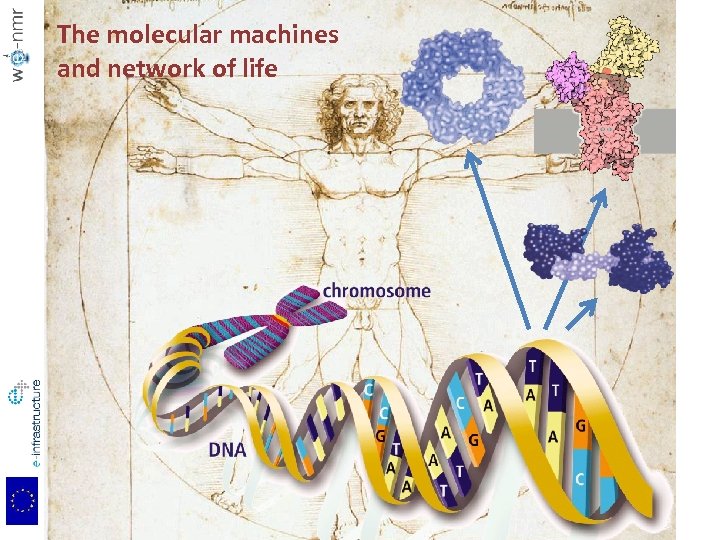 The molecular machines and network of life 