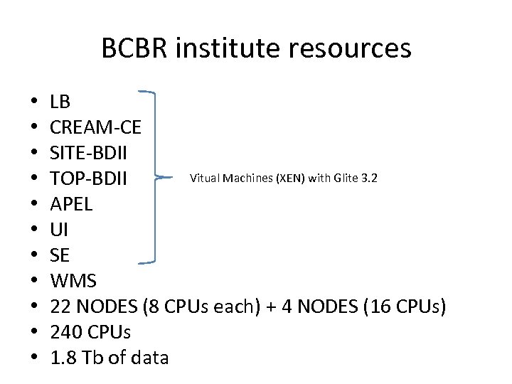 BCBR institute resources • • • LB CREAM-CE SITE-BDII Vitual Machines (XEN) with Glite