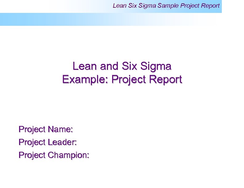 Lean Six Sigma Sample Project Report Lean and Six Sigma Example: Project Report Project