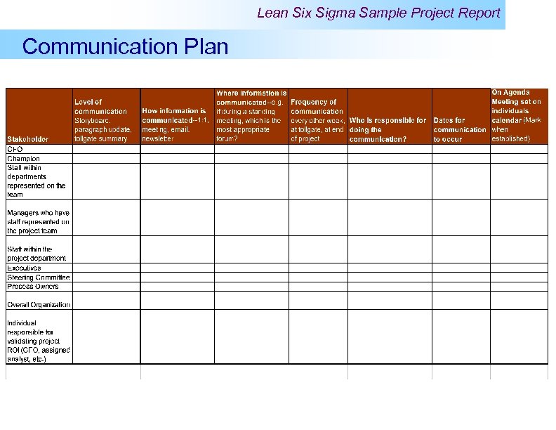Lean Six Sigma Sample Project Report Communication Plan 