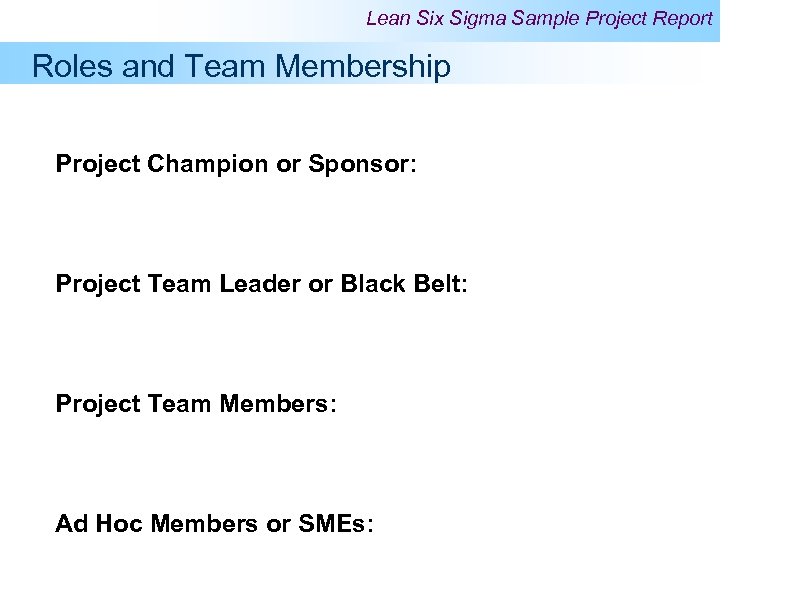 Lean Six Sigma Sample Project Report Roles and Team Membership Project Champion or Sponsor: