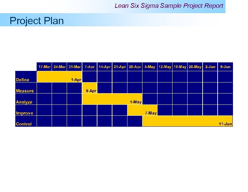 Lean Six Sigma Sample Project Report Project Plan 