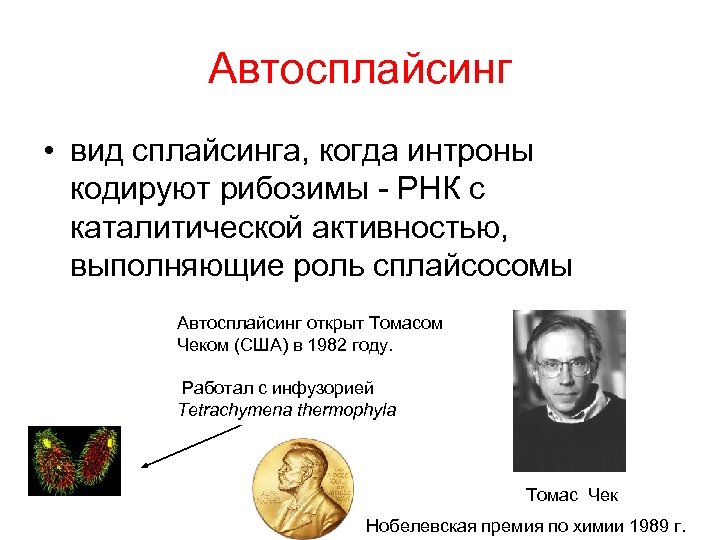 Автосплайсинг • вид сплайсинга, когда интроны кодируют рибозимы - РНК с каталитической активностью, выполняющие