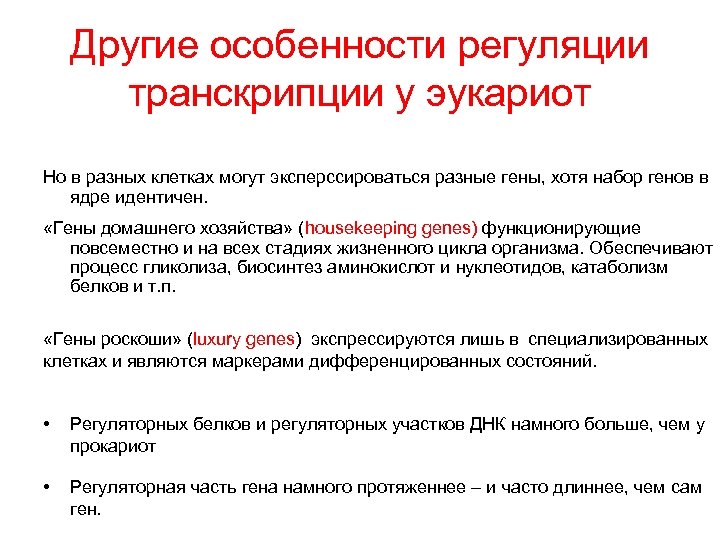 Другие особенности регуляции транскрипции у эукариот Но в разных клетках могут эксперссироваться разные гены,