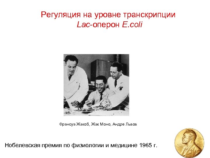 Регуляция на уровне транскрипции Lac-оперон E. coli Франсуа Жакоб, Жак Моно, Андре Львов Нобелевская