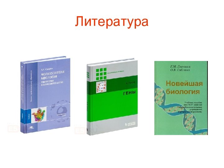 Литература 