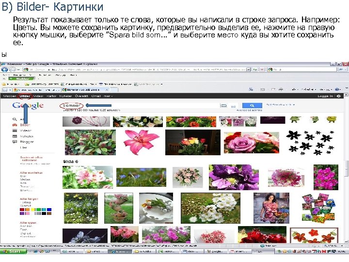 B) Bilder- Картинки Результат показывает только те слова, которые вы написали в строке запроса.