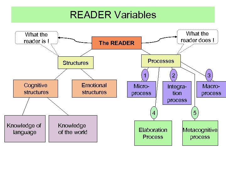 READER Variables What the reader is ! What the reader does ! The READER