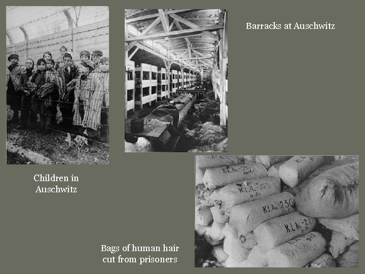 Barracks at Auschwitz Children in Auschwitz Bags of human hair cut from prisoners 