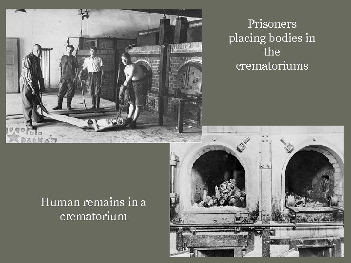 Prisoners placing bodies in the crematoriums Human remains in a crematorium 