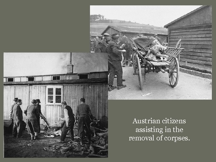 Austrian citizens assisting in the removal of corpses. 