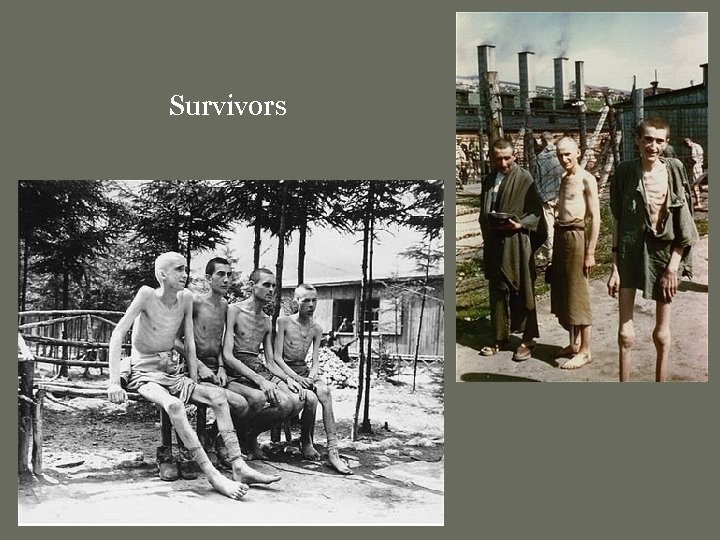 Survivors 