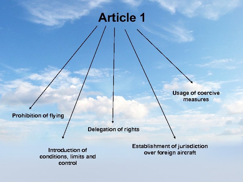 Article 1 Usage of coercive measures Prohibition of flying Delegation of rights Introduction of