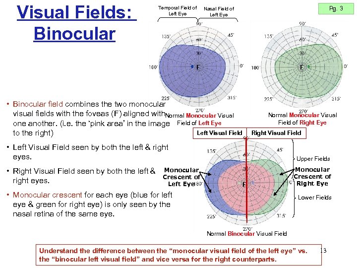 Visual Fields: Binocular Temporal Field of Left Eye Pg. 3 Nasal Field of Left