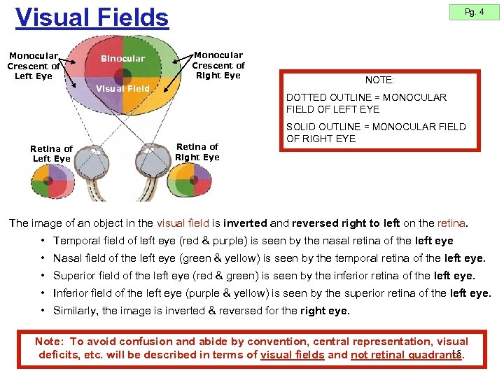 Visual Fields Monocular Crescent of Left Eye Binocular Pg. 4 Monocular Crescent of Right