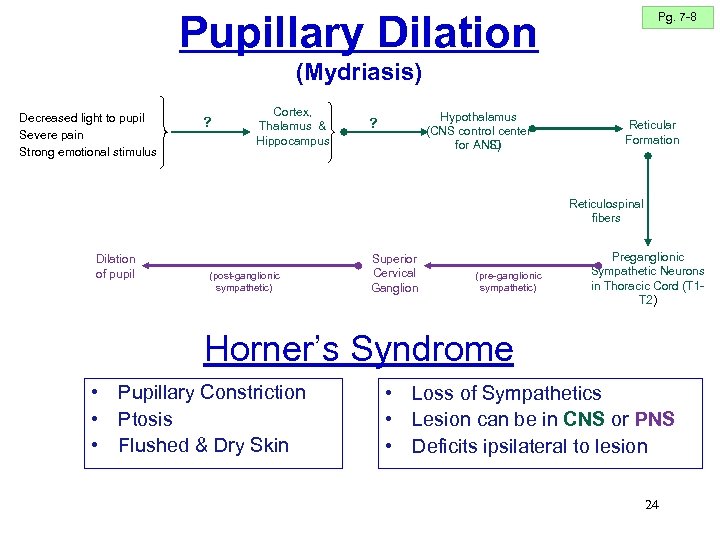 Pupillary Dilation Pg. 7 -8 (Mydriasis) Decreased light to pupil Severe pain Strong emotional