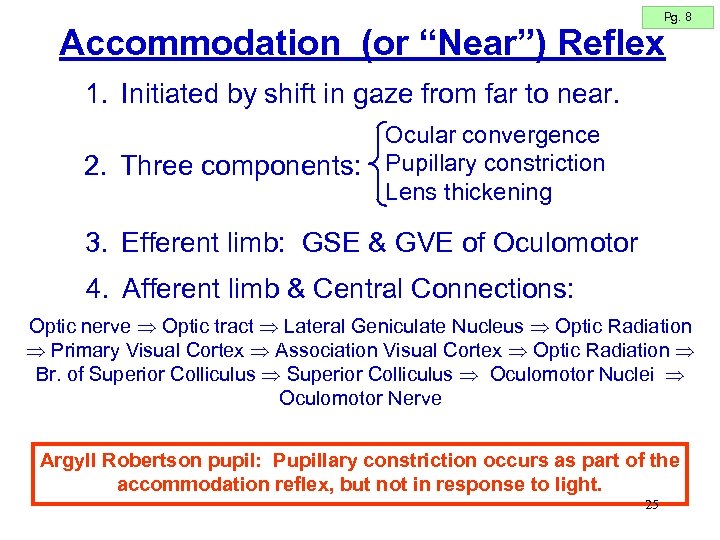 Pg. 8 Accommodation (or “Near”) Reflex 1. Initiated by shift in gaze from far