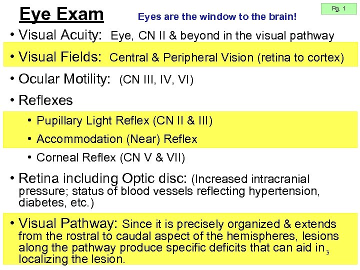 Eye Exam Eyes are the window to the brain! Pg. 1 • Visual Acuity: