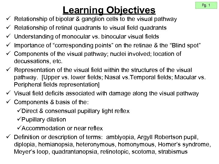 Learning Objectives ü ü ü ü ü Pg. 1 Relationship of bipolar & ganglion