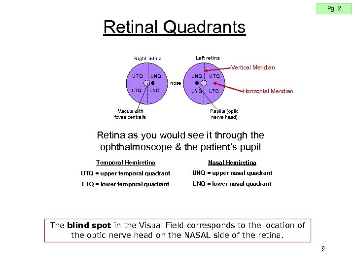 Pg. 2 Retinal Quadrants Left retina Right retina Vertical Meridian UTQ UNQ LNQ UTQ