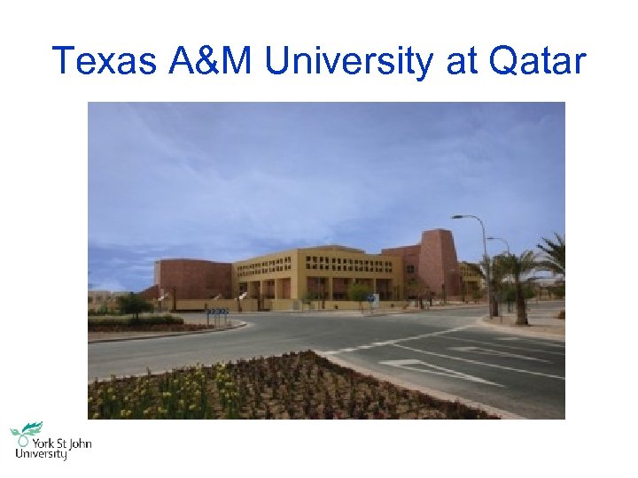 Texas A&M University at Qatar 