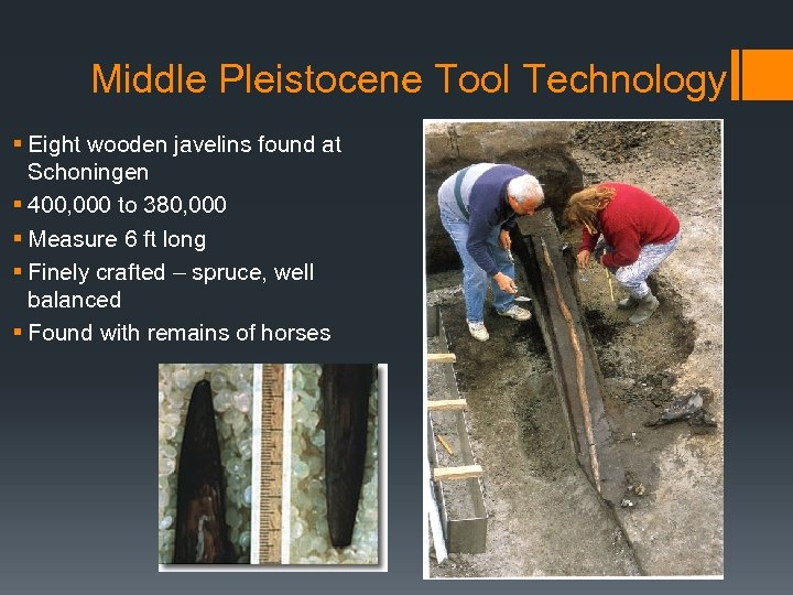Middle Pleistocene Tool Technology § Eight wooden javelins found at Schoningen § 400, 000