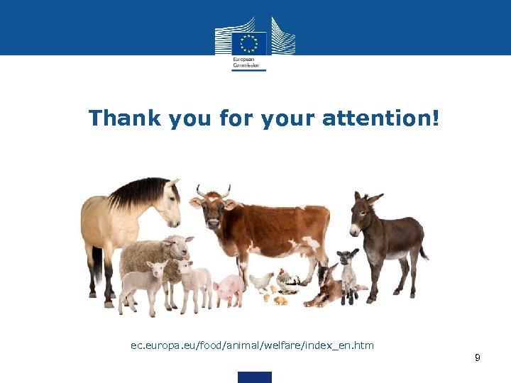 Thank you for your attention! ec. europa. eu/food/animal/welfare/index_en. htm 9 