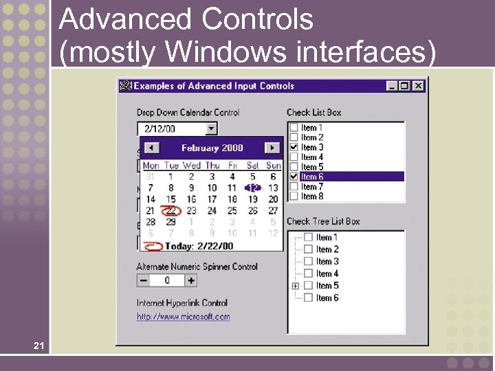 Advanced Controls (mostly Windows interfaces) 21 