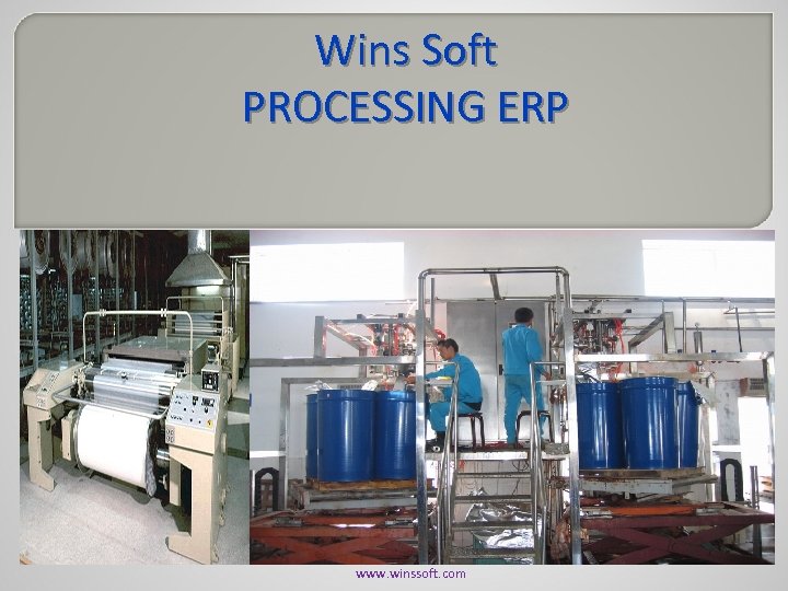 Wins Soft PROCESSING ERP www. winssoft. com 