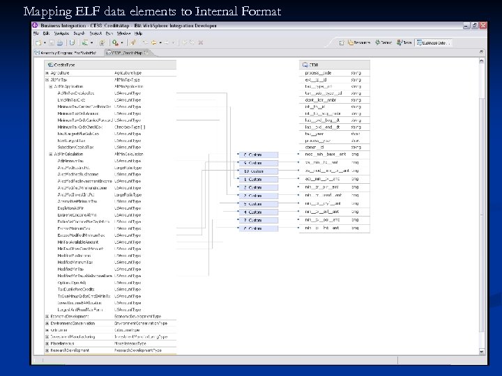 Mapping ELF data elements to Internal Format Mapping ELF to Internal Format 