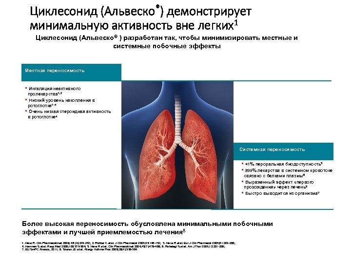 Циклесонид (Альвеско®) демонстрирует минимальную активность вне легких1 Циклесонид (Альвеско® ) разработан так, чтобы минимизировать