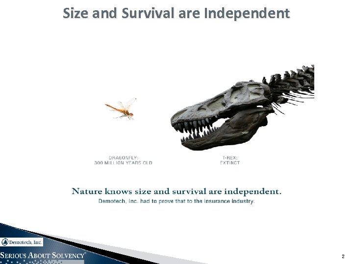 Size and Survival are Independent 2 