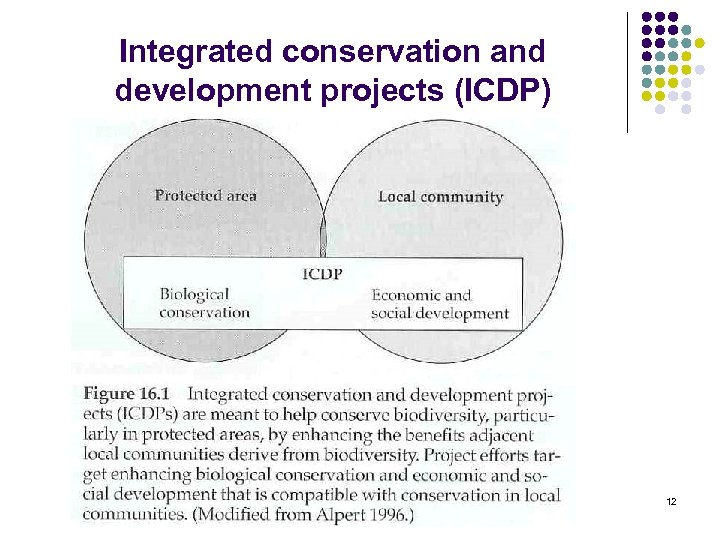 Integrated conservation and development projects (ICDP) 12 