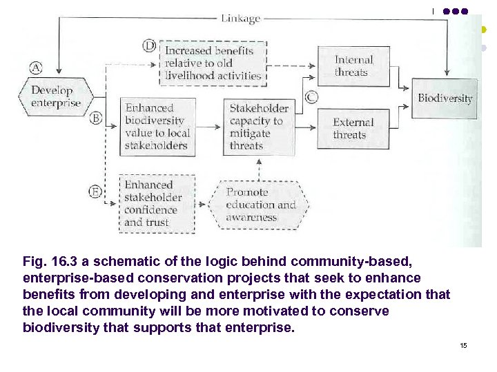 Fig. 16. 3 a schematic of the logic behind community-based, enterprise-based conservation projects that