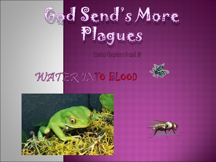 God Send’s More Plagues Exodus Chapters 9 and 10 WATER INTO BLOOD 