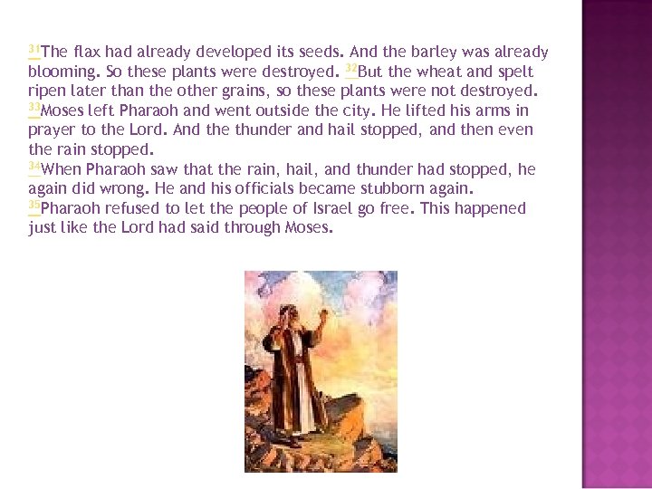 31 The flax had already developed its seeds. And the barley was already blooming.