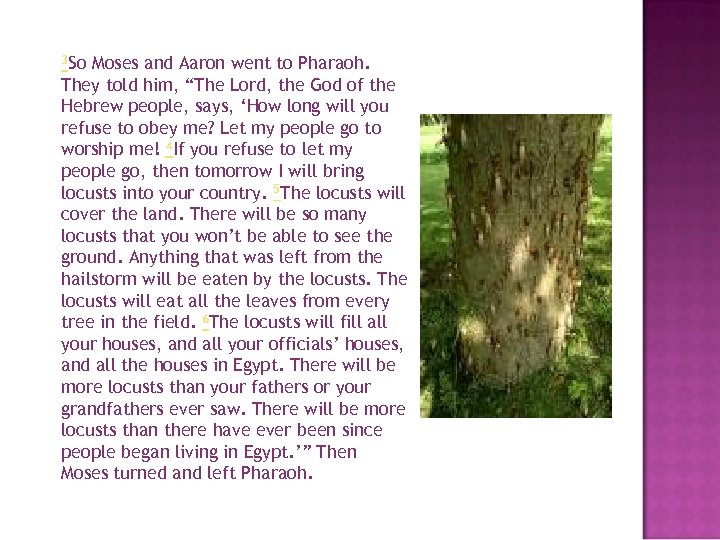 3 So Moses and Aaron went to Pharaoh. They told him, “The Lord, the